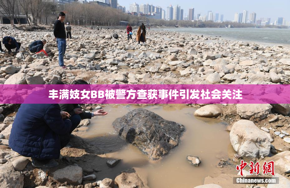 丰满妓女BB被警方查获事件引发社会关注