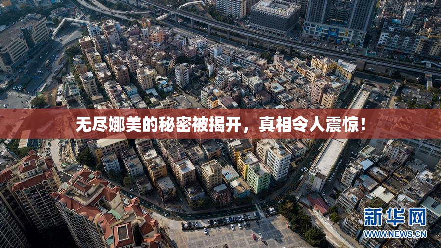 无尽娜美的秘密被揭开，真相令人震惊！
