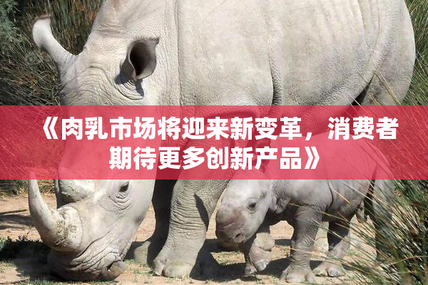 《肉乳市场将迎来新变革，消费者期待更多创新产品》