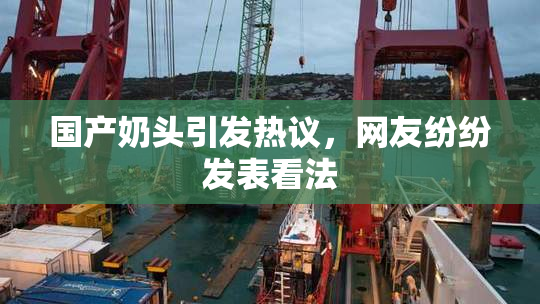 国产奶头引发热议，网友纷纷发表看法