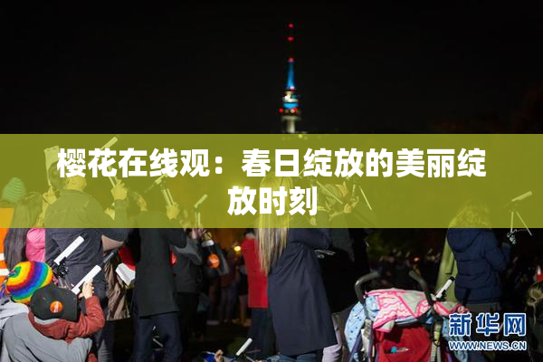 樱花在线观：春日绽放的美丽绽放时刻