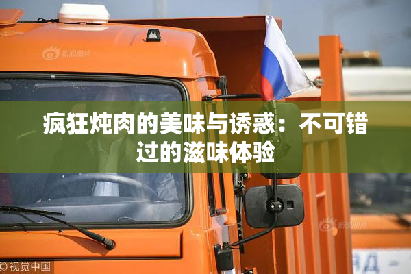 疯狂炖肉的美味与诱惑：不可错过的滋味体验