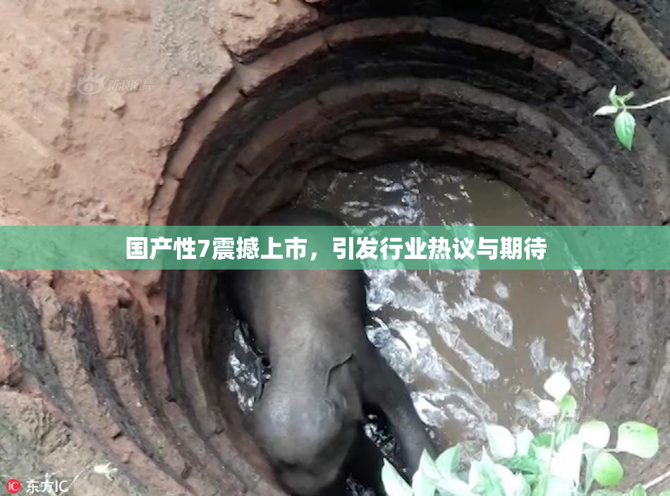 国产性7震撼上市，引发行业热议与期待