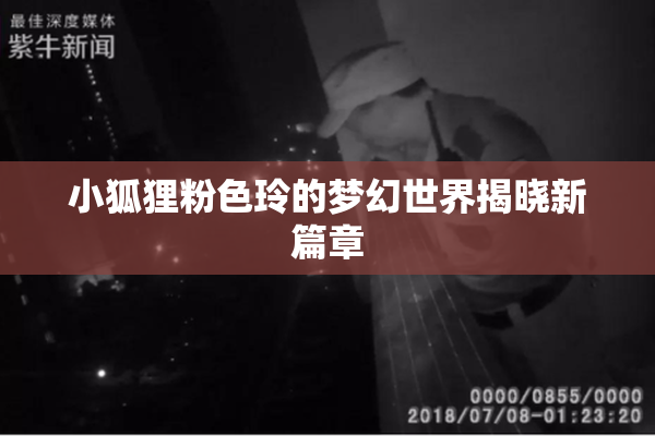 小狐狸粉色玲的梦幻世界揭晓新篇章