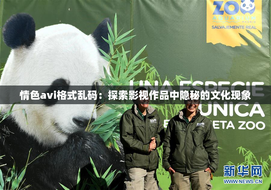 情色avi格式乱码：探索影视作品中隐秘的文化现象