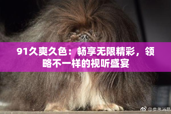 91久爽久色：畅享无限精彩，领略不一样的视听盛宴