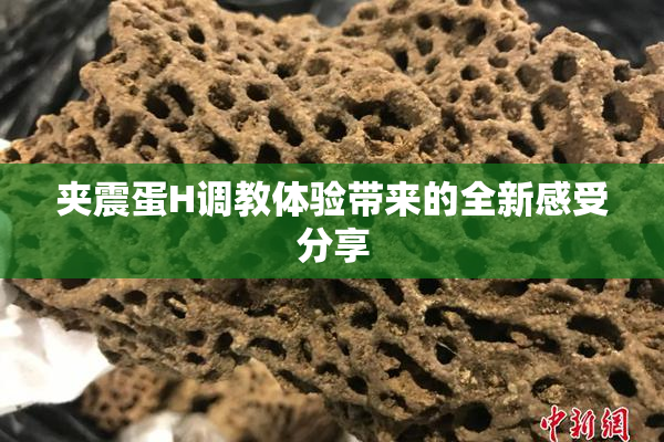 夹震蛋H调教体验带来的全新感受分享