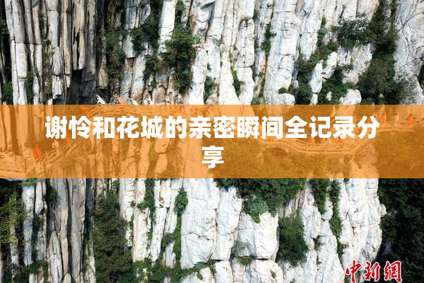 谢怜和花城的亲密瞬间全记录分享