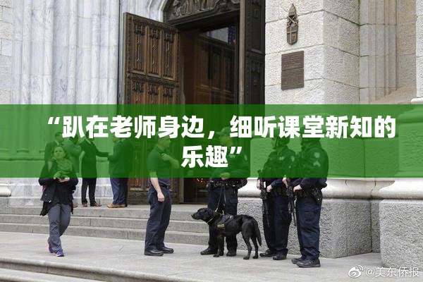 “趴在老师身边，细听课堂新知的乐趣”