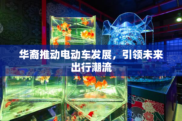 华裔推动电动车发展，引领未来出行潮流