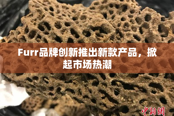 Furr品牌创新推出新款产品，掀起市场热潮