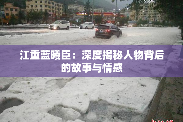 江重蓝曦臣：深度揭秘人物背后的故事与情感