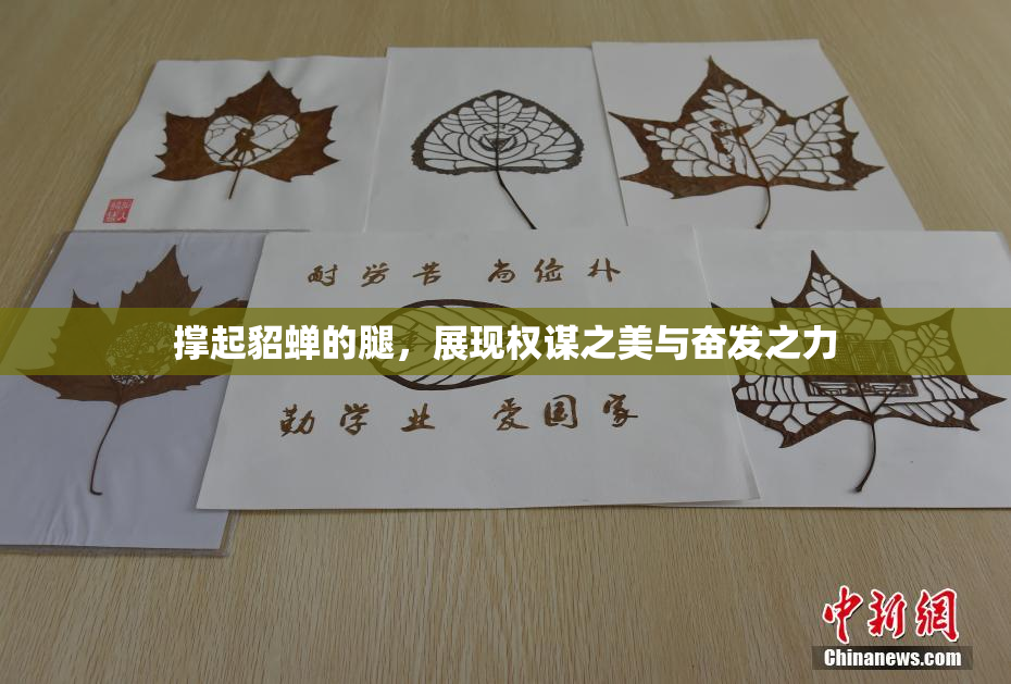 撑起貂蝉的腿，展现权谋之美与奋发之力