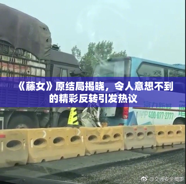 《藤女》原结局揭晓，令人意想不到的精彩反转引发热议