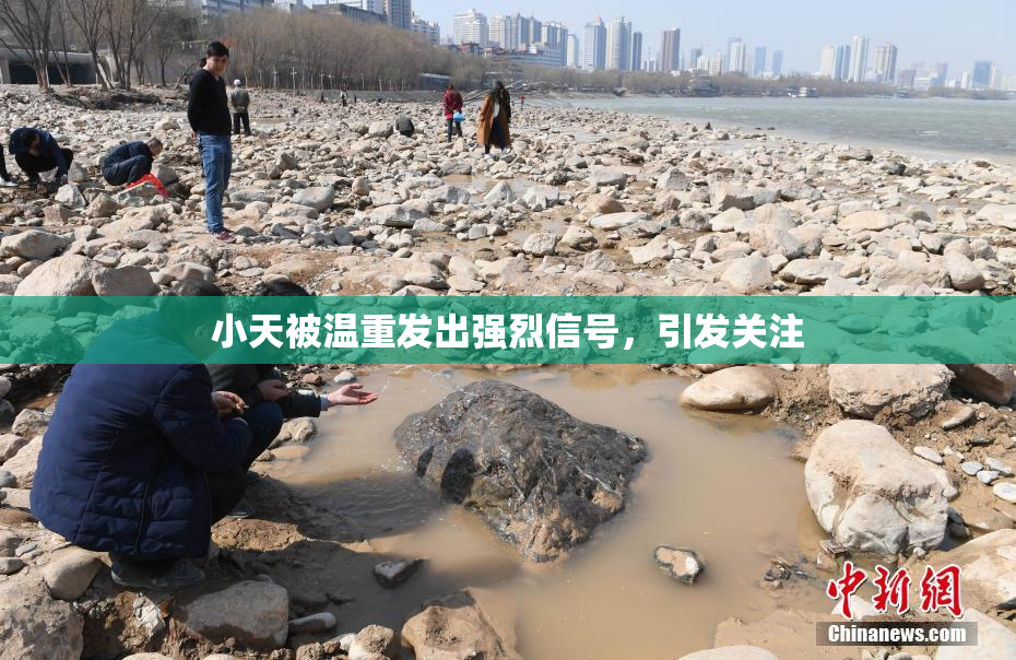 小天被温重发出强烈信号，引发关注