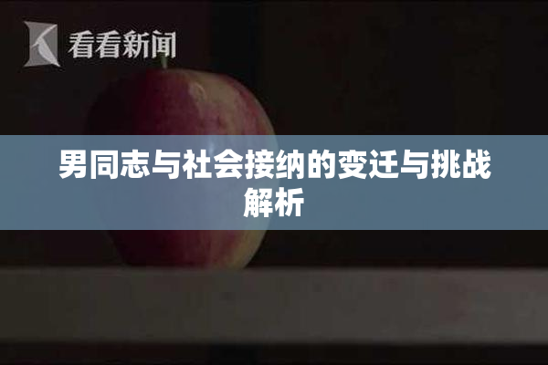 男同志与社会接纳的变迁与挑战解析
