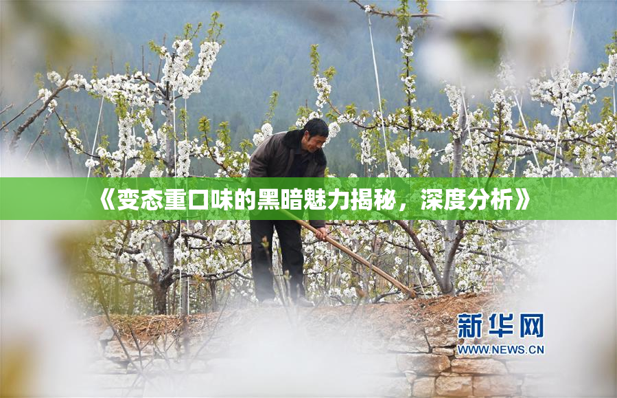 《变态重口味的黑暗魅力揭秘，深度分析》