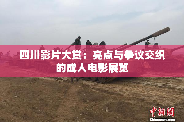 四川影片大赏：亮点与争议交织的成人电影展览