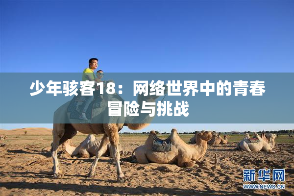 少年骇客18：网络世界中的青春冒险与挑战