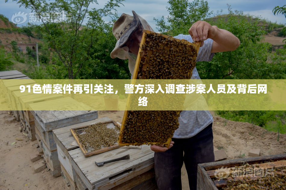 91色情案件再引关注，警方深入调查涉案人员及背后网络