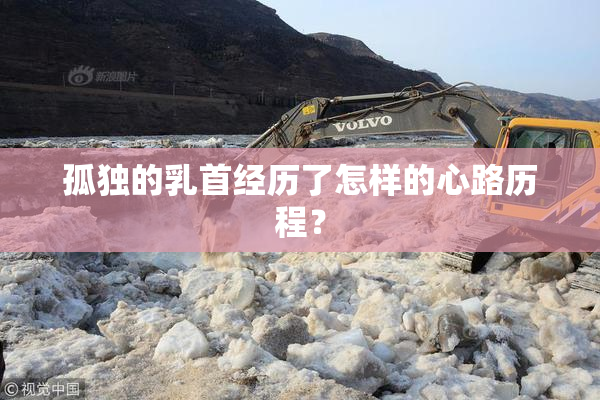 孤独的乳首经历了怎样的心路历程？