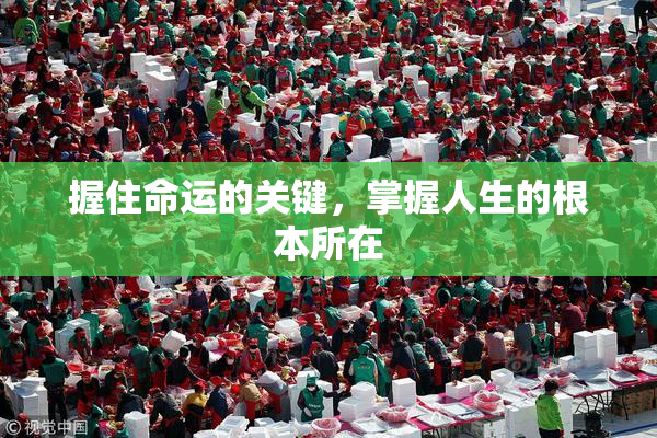 握住命运的关键，掌握人生的根本所在
