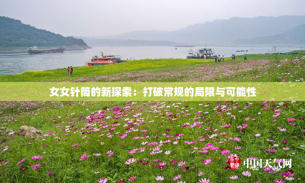 女女针筒的新探索：打破常规的局限与可能性