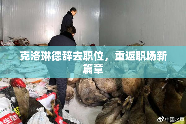 克洛琳德辞去职位，重返职场新篇章
