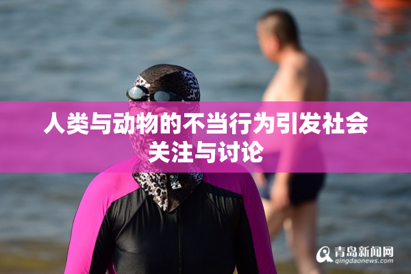 人类与动物的不当行为引发社会关注与讨论