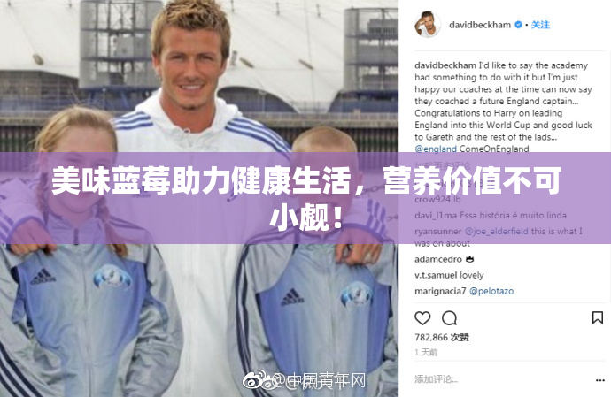 美味蓝莓助力健康生活，营养价值不可小觑！