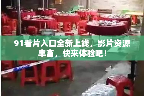 91看片入口全新上线，影片资源丰富，快来体验吧！