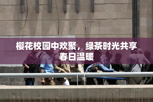 樱花校园中欢聚，绿茶时光共享春日温暖