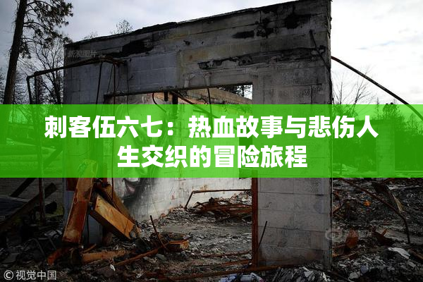 刺客伍六七：热血故事与悲伤人生交织的冒险旅程