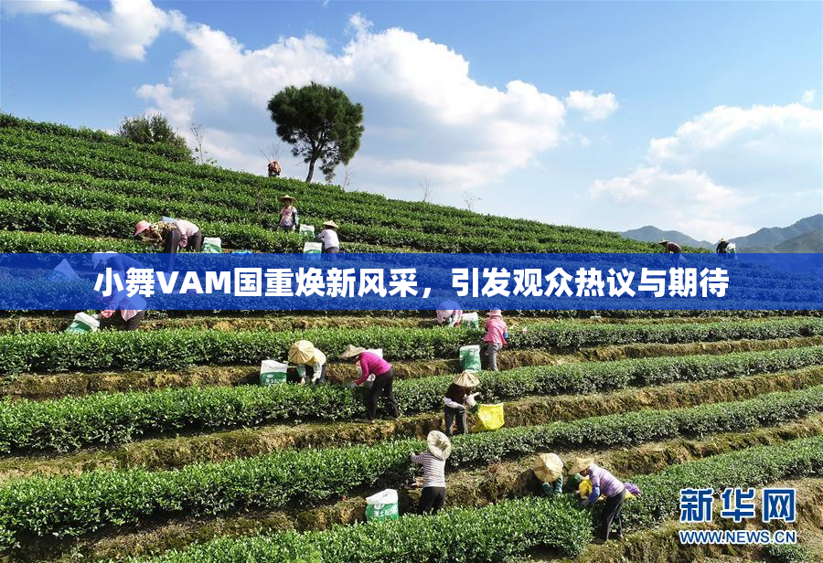 小舞VAM国重焕新风采，引发观众热议与期待