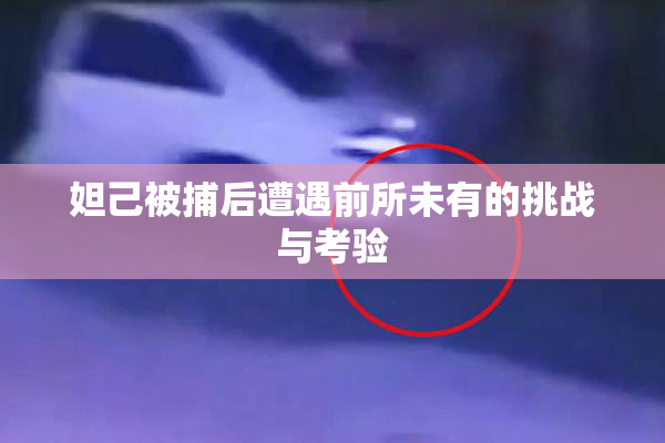 妲己被捕后遭遇前所未有的挑战与考验