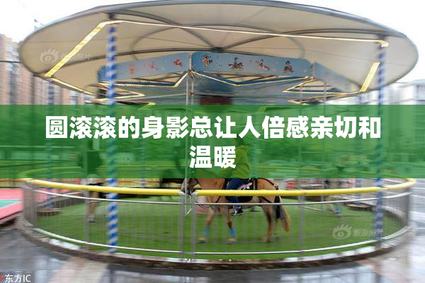 圆滚滚的身影总让人倍感亲切和温暖