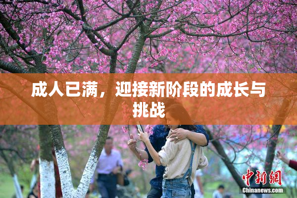 成人已满，迎接新阶段的成长与挑战