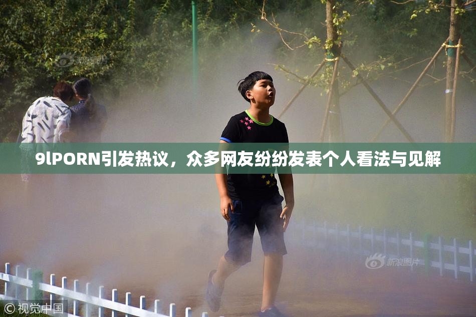 9lPORN引发热议，众多网友纷纷发表个人看法与见解