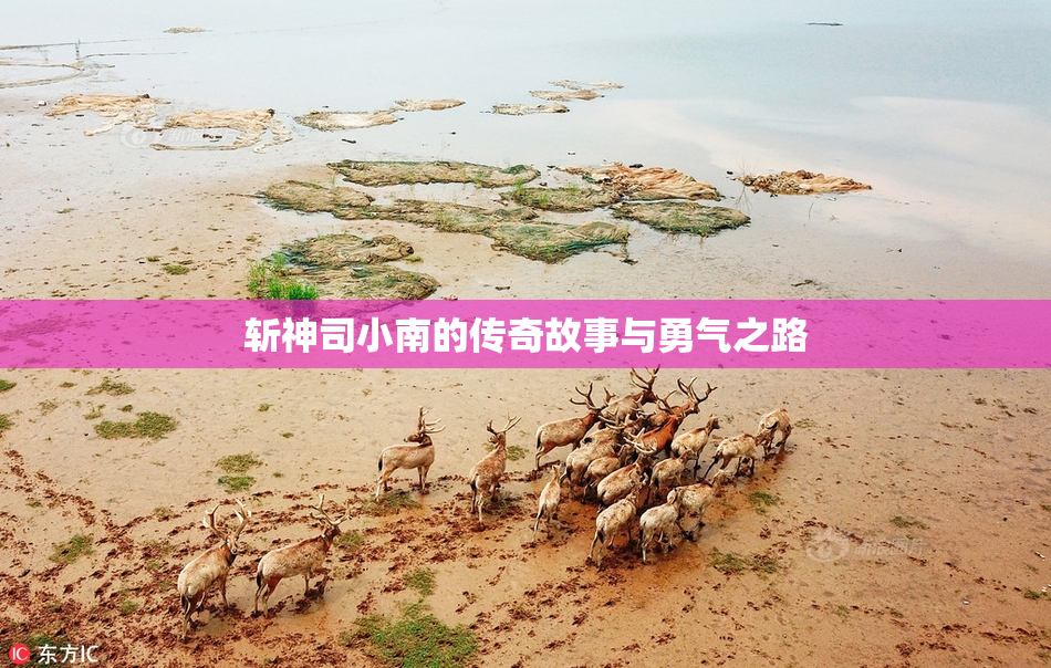 斩神司小南的传奇故事与勇气之路