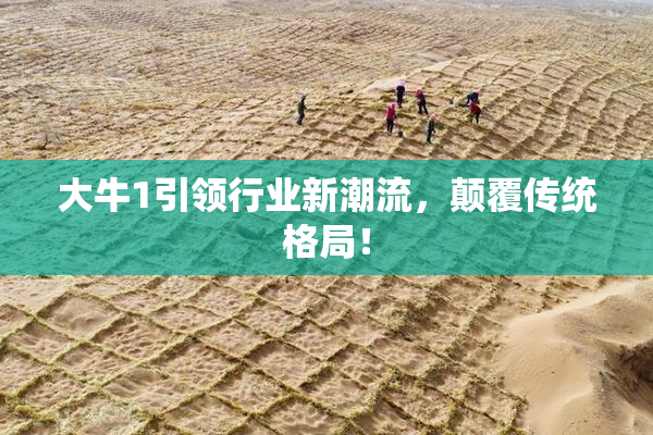 大牛1引领行业新潮流，颠覆传统格局！