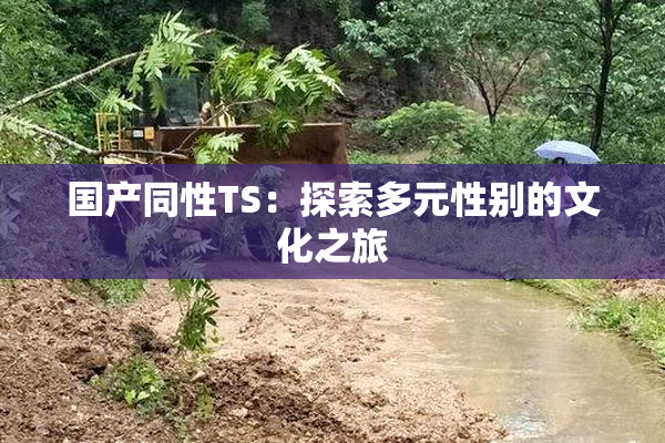 国产同性TS：探索多元性别的文化之旅