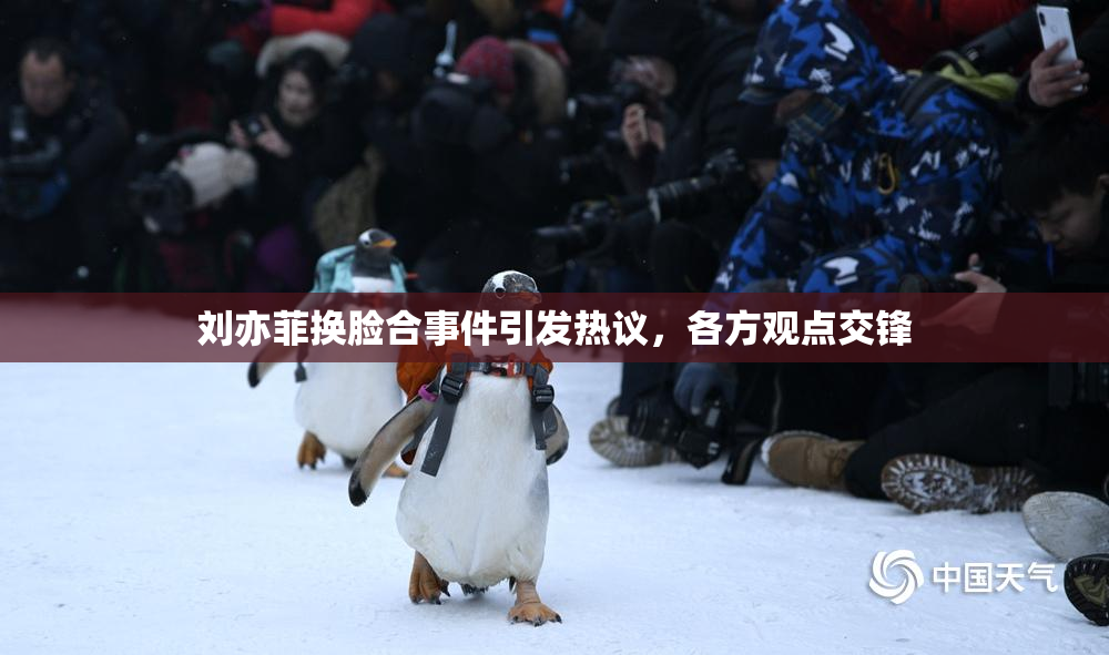 刘亦菲换脸合事件引发热议，各方观点交锋