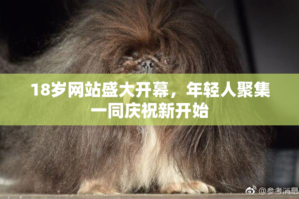 18岁网站盛大开幕，年轻人聚集一同庆祝新开始