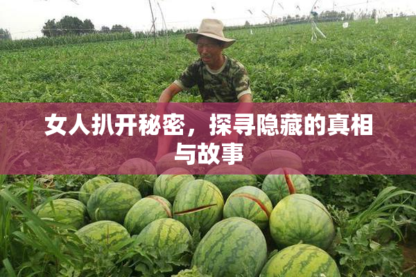女人扒开秘密，探寻隐藏的真相与故事
