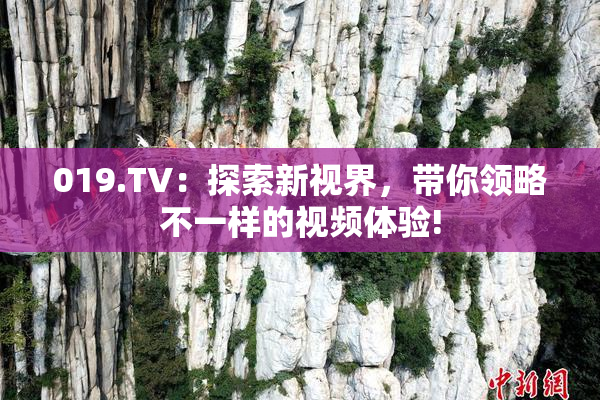 019.TV：探索新视界，带你领略不一样的视频体验!