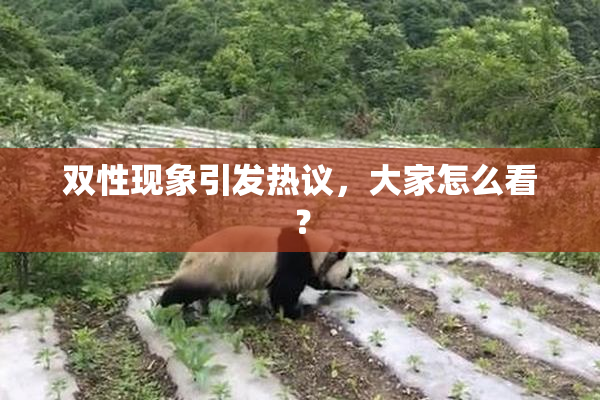 双性现象引发热议，大家怎么看？