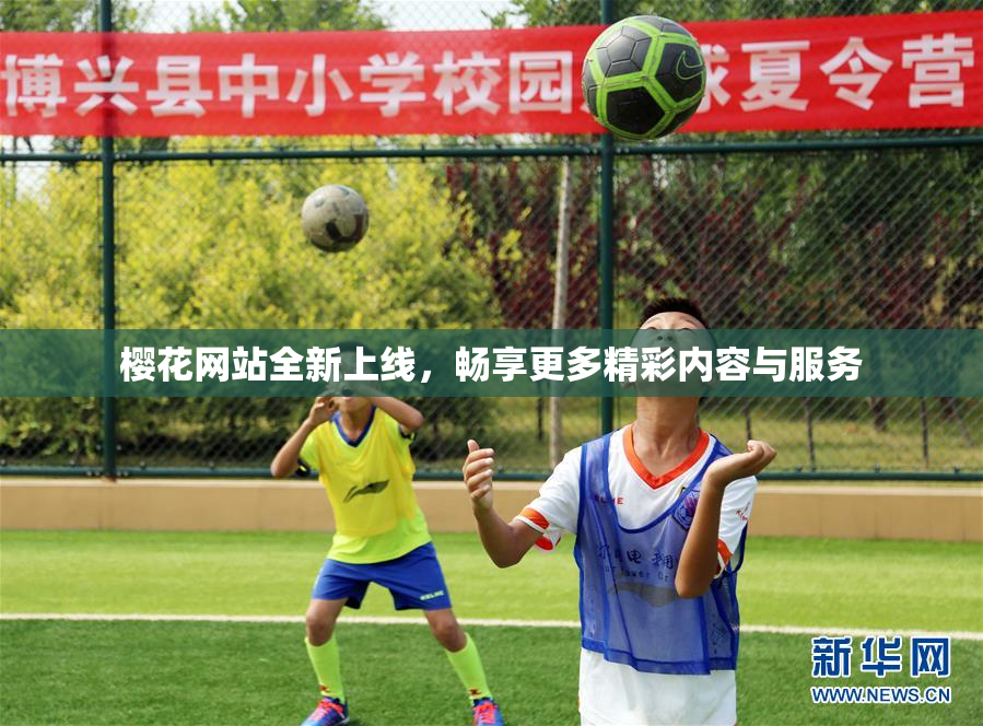 樱花网站全新上线，畅享更多精彩内容与服务