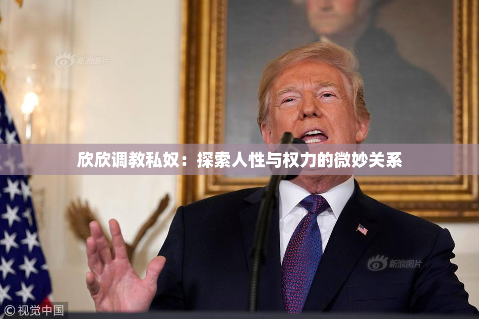 欣欣调教私奴：探索人性与权力的微妙关系