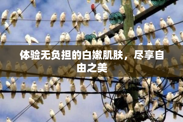 体验无负担的白嫩肌肤，尽享自由之美