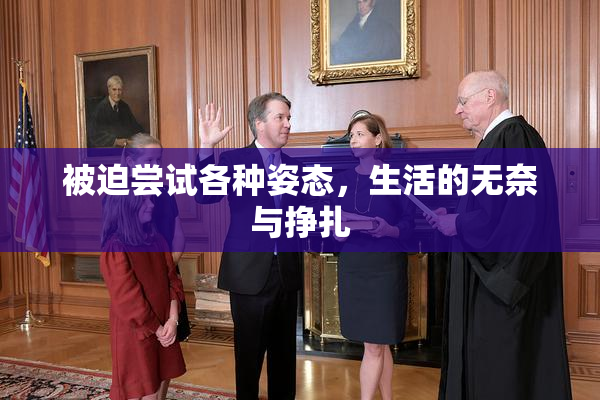 被迫尝试各种姿态，生活的无奈与挣扎